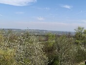 OnePlus 13 – 2-facher Zoom