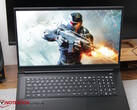 Das Display des XMG Apex 17 (M25)