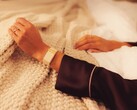 Goose ruft Gesundheitsdaten von Whoop-Fitnesstrackern ohne aktives Abo ab