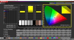 CalMAN ColorChecker (Profil: kalibriert, Zielfarbraum: P3)