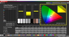 CalMAN ColorChecker (Profil: P3, Zielfarbraum P3)