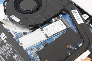 Primärer M.2 2280 Slot unterstützt bis zu 80 mm SSDs