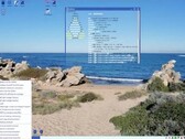 EasyOS 6-Desktop (Bildquelle: DebugPoint)