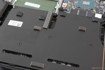 Wir können bei unserem Gerät keine größeren elektronischen Geräusche oder Spulenfiepen-Probleme feststellen