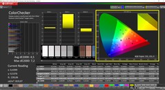 CalMAN ColorChecker (Profil: P3, Zielfarbraum: P3)