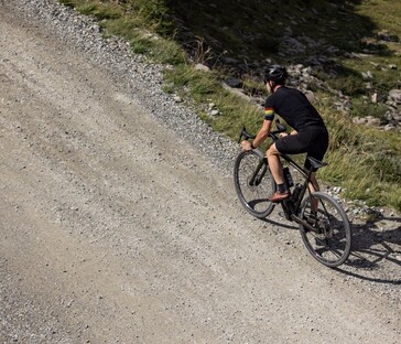 Es handelt sich um ein auch für das Gelände geeignete E-Bike (Bildquelle: Look Cycle)