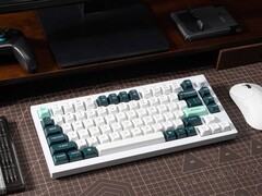 Die Keychron Q1 HE soll mechanische Tastatur in wichtigen Bereichen übertreffen. (Bild: Keychron)