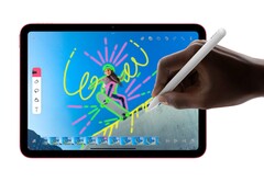 Das iPad 10 ist mit dem Apple Pencil mit USB-C-Anschluss kompatibel. (Bildquelle: Apple)