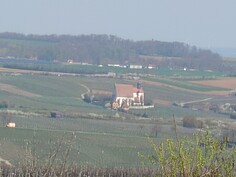 Sony Xperia 1 VI – 20-facher Zoom