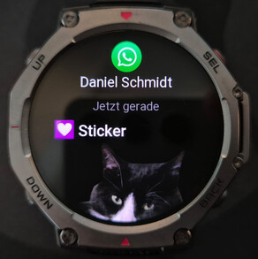 Sticker werden auf der T-Rex 3 angezeigt.