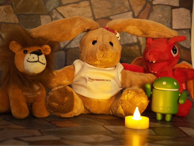 Magic7 RSR (3x opt. Zoom, ISO 320, 10 sec.)