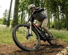 R.EX: E-Mountainbike mit DJI-Motor (Bildquelle: Rotwild)