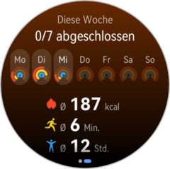 Aktivitätsübersichten sind vorhanden (Bildquelle: Daniel Schmidt, Notebookcheck)