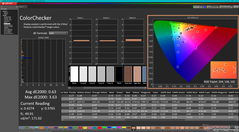 ColorChecker nach der Kalibrierung