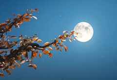 Huawei verspricht hochauflösende Fotos vom Mond durch die Periskop-Tele-Kamera des P60 Pro. (Bild: Huawei)