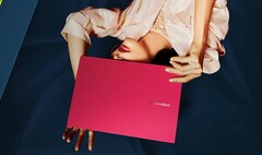 Das ist ein VivoBook. Nein, kein Laptop von Vivo, sondern ein VivoBook von Asus. (Bild: Asus)