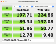 Amorphous Memory Mark M4 Pro