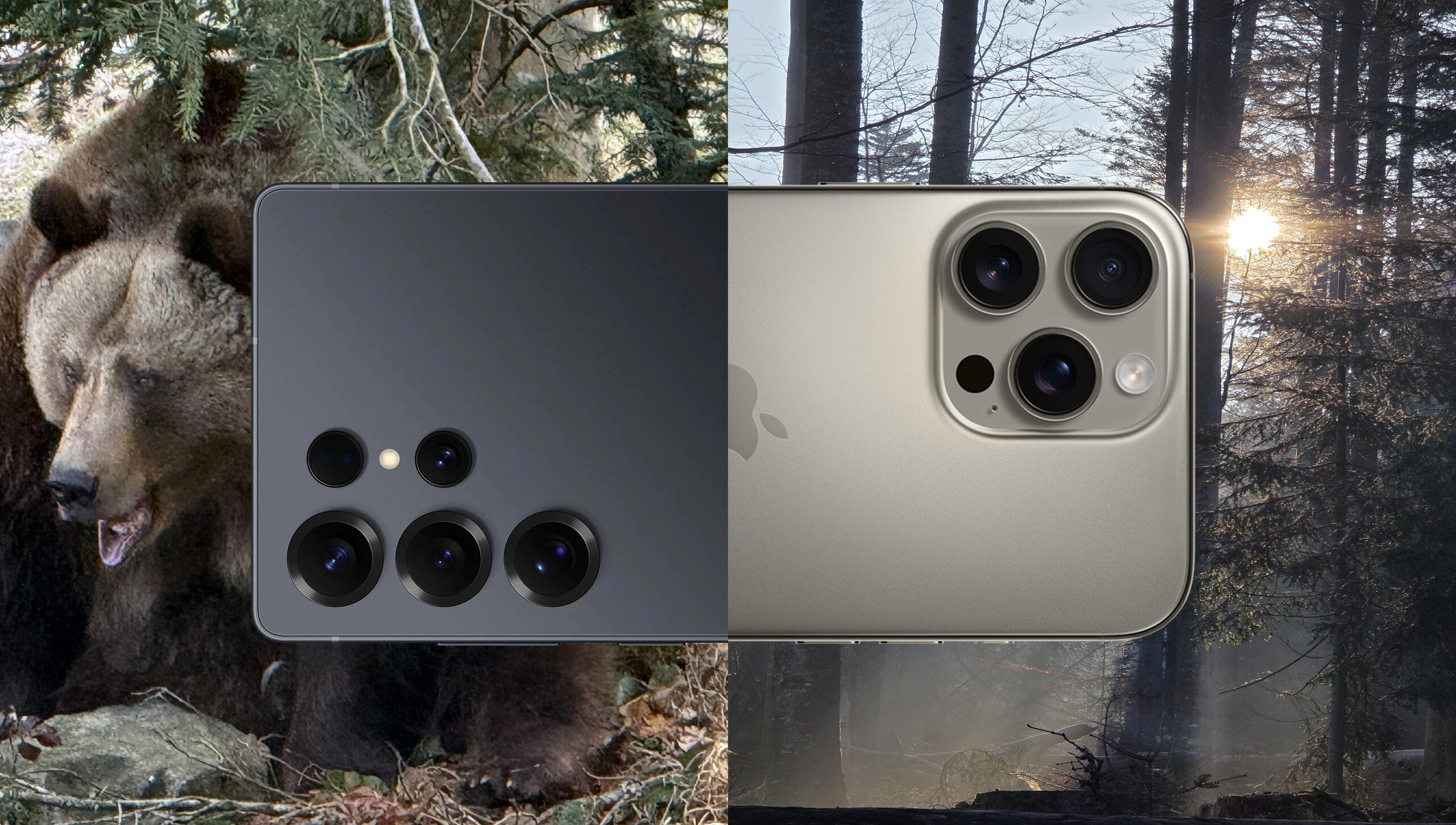 Fotovergleich Smartphones: Im Nationalpark Bayerischer Wald mit zwei der besten Kamera-Handys 2025