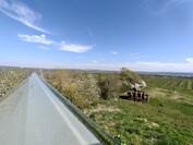 OnePlus 13 – 0,5-facher Zoom (Ultraweitwinkel)