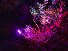 LIFX hat einige neue Outdoor-Lampen vorgestellt. (Bild: LIFX)