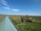 Sony Xperia 1 VI – 0,5-facher Zoom (Ultraweitwinkel)