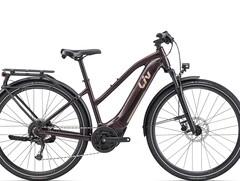 Amiti-E+ 2 RC Dash: E-Bike gibt es aktuell deutlich günstiger (Bildquelle: Liv)