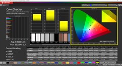 CalMAN ColorChecker (Profil: Native: Zielfarbraum: P3)