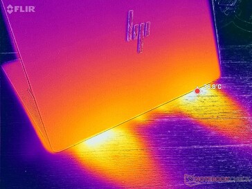 Doppelter Auslass hinten