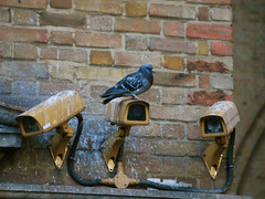 Nicht nur offensichtliche Kameras beobachten mehr, als vielleicht sein müsste. (Quelle: Pixabay/staffordgreen0)