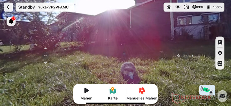 Live-Video in der Mammotion App