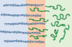 Das Grundprinzip der organischen Solarzelle ist dasselbe. (Bild: Nature Communications 1212-2024)