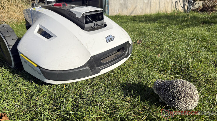 Der Mammotion Yuka hat im Test unsere Igel-Attrappe zuverlässig erkannt