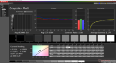 Graustufen nach Kalibrierung