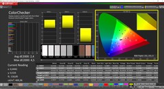 CalMAN ColorChecker (Profil: Native, Zielfarbraum: P3)