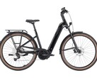Premio Evo 12 Lite Auto: E-Bike mt automatischer Schaltung (Bildquelle: Pegasus)