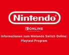 Wie es scheint, testet Nintendo derzeit ein MMO, das den Schwerpunkt auf gemeinsames Bauen legt. (Bildquelle: Nintendo)