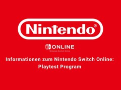 Wie es scheint, testet Nintendo derzeit ein MMO, das den Schwerpunkt auf gemeinsames Bauen legt. (Bildquelle: Nintendo)