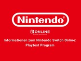 Wie es scheint, testet Nintendo derzeit ein MMO, das den Schwerpunkt auf gemeinsames Bauen legt. (Bildquelle: Nintendo)