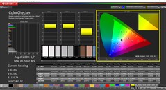 CalMAN ColorChecker (Profil: AdobeRGB, Farbraum: AdobeRGB)