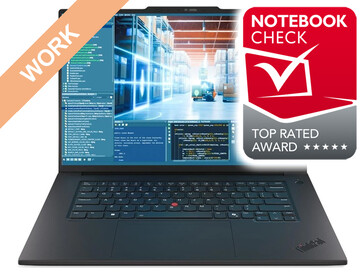 Lenovo ThinkPad P1 Gen 8 (91,6%)