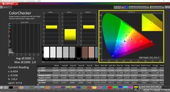 CalMAN ColorChecker (Profil: Display P3, Zielfarbraum: P3)