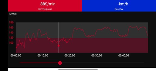 Pulsmessung mit dem Polar H10 Brustgurt