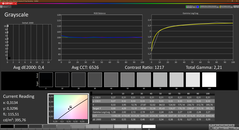 Greyscale (calibrated)