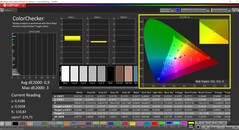 CalMAN ColorChecker (Profil: sRGB, Zielfarbraum: sRGB)