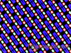 OLED-Subpixel-Matrix