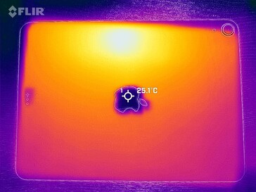Heatmap Rückseite