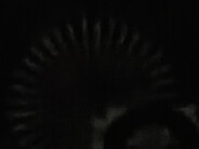 Motorola Moto G05 Mali-G52 MP2, Helio G81, 64 GB eMMC Flash Motorola Moto G05