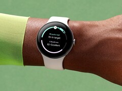 Die Pixel Watch 3 erhält nur drei Jahre lang garantierte Software-Updates. (Bildquelle: Google)