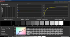 Grayscale (kalibriert)