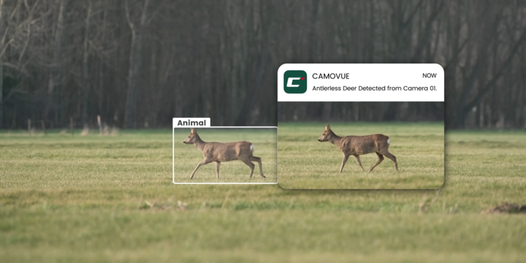 Tiere sollen erkannt werden können (Bildquelle: Reolink)